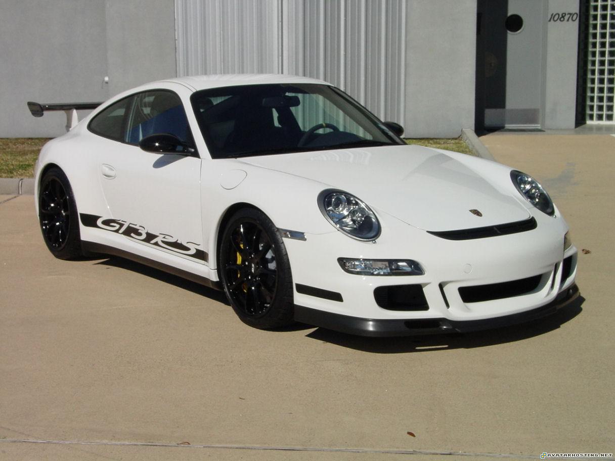 pests rabbits avatar 80 extinct insect 2007Porsche997GT3RSCWhiteBlack1K1a