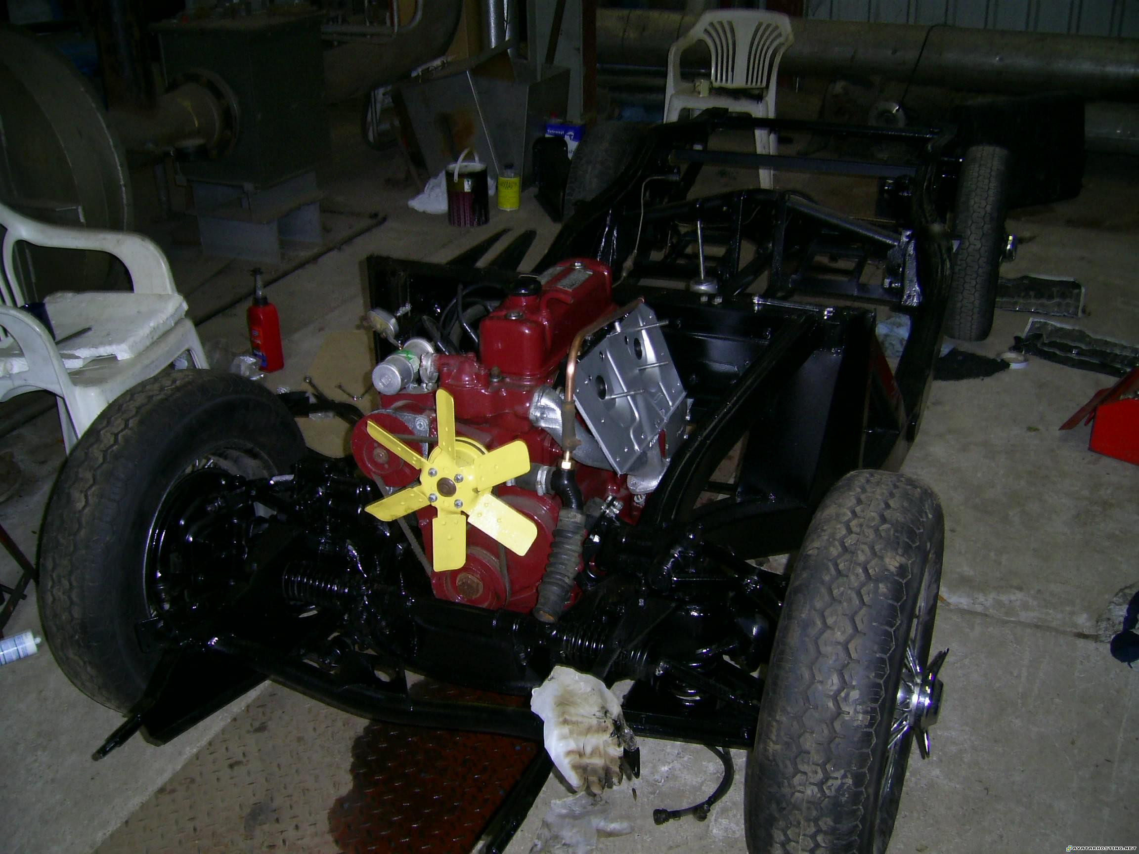 insect animals insect fine art paintings PIC_0453