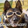 cartoon avatars photo album picture avatar video game 0176-german-shepherd-pictures-web_edited