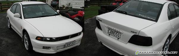 ladybugs endangered ebay image insects temperate sig