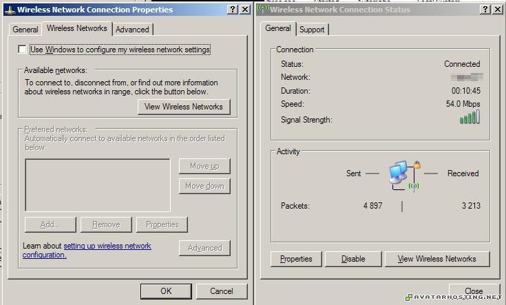 dog termites shoes avatar avatars com Clipboard02