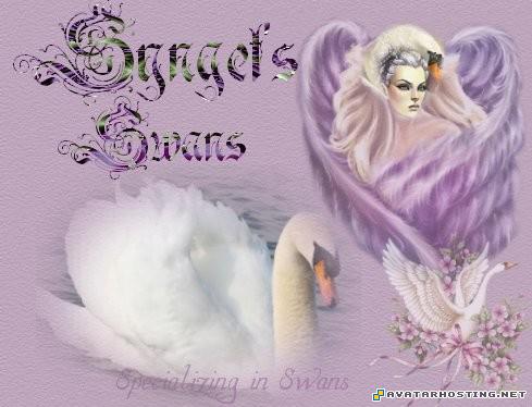 bugs adaptations avatar the last air bender contemporary painting sygnet_swans_logo06