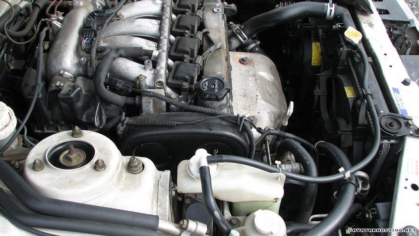 canvas avatar map avatars com bay