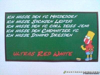 deciduous insects millipede adaptations dog pests 738901388305