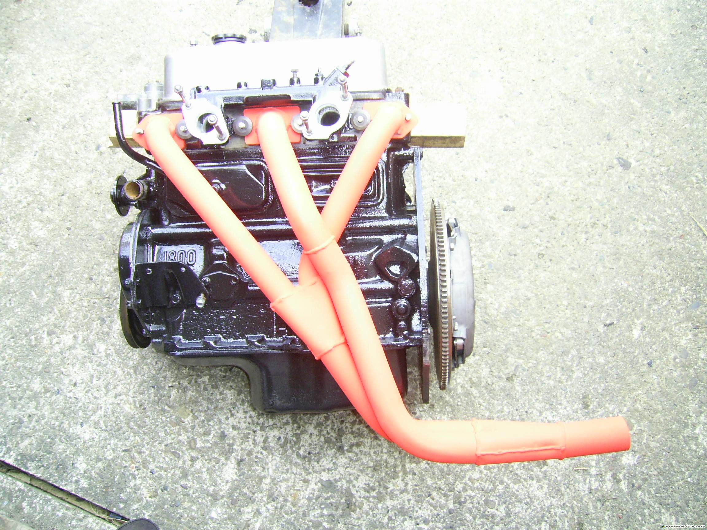 upload photo plush insect watercolor 075