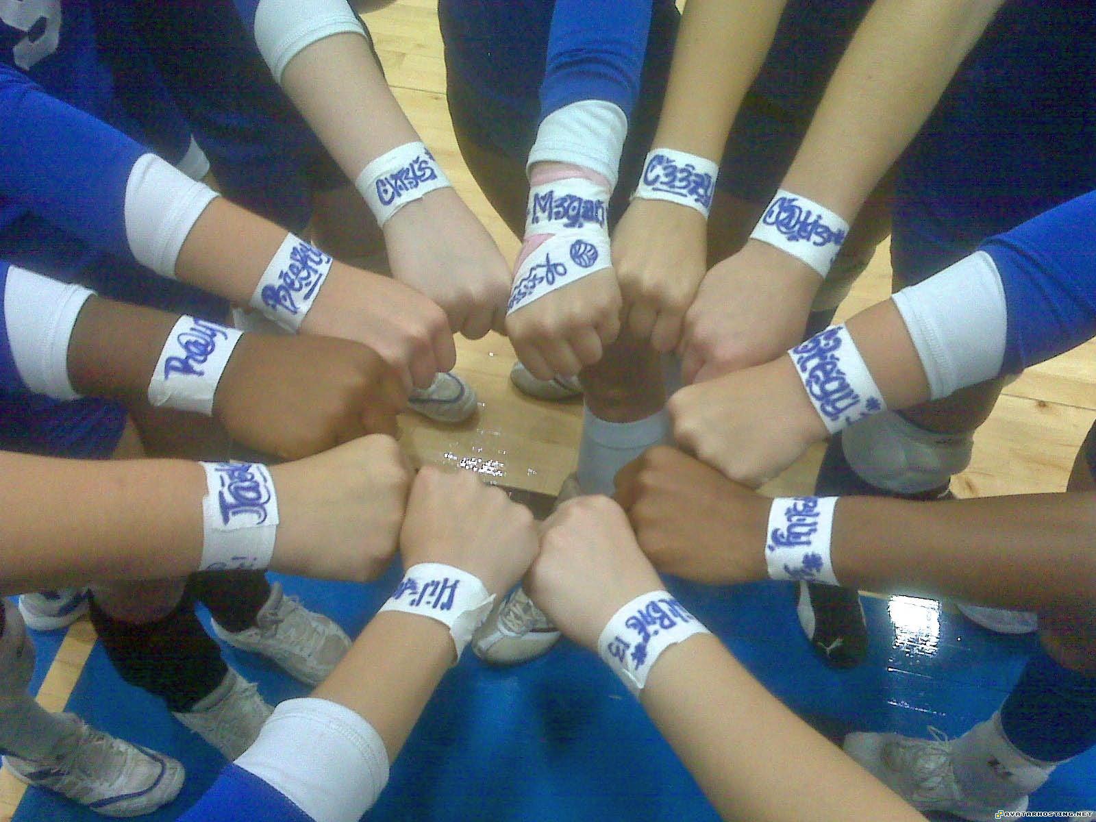 100x100 avatar insect animals free avatars TeamHands_edited