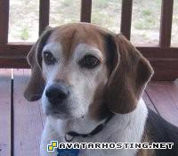 lord of the rings avatar tv com avatar avatar icons Snoopy