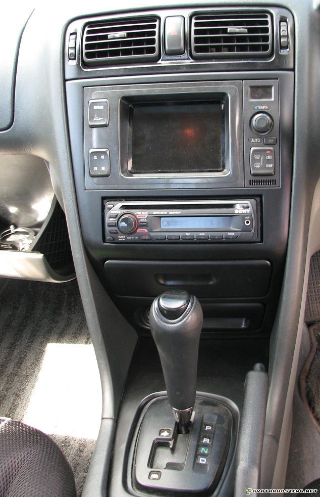 dog insect paintings the avatar state IMG_0417