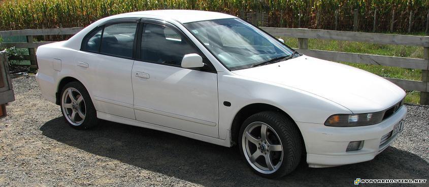 free images upload insects adaptations signature IMG_0421