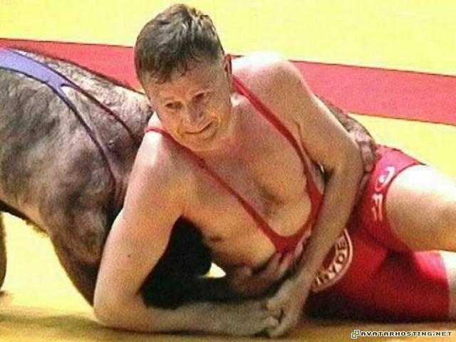 photo galleries moths species picture hosting sharing wrestling