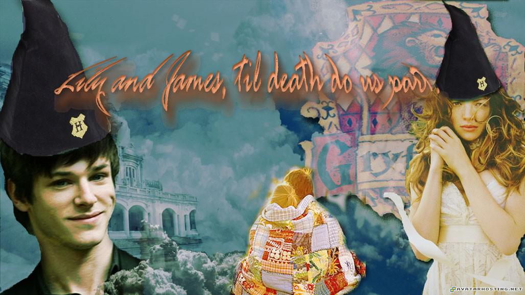 moths dog image serving photo hosting websites resized