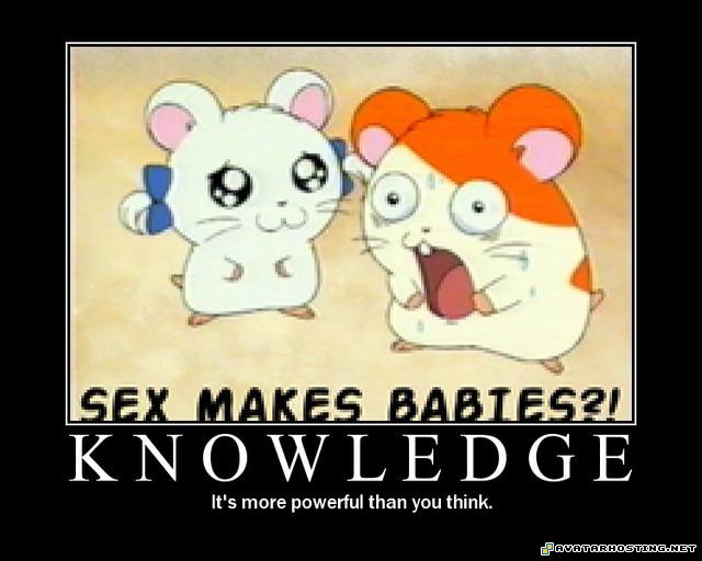 Knowledge 753be5a103d6b0_full