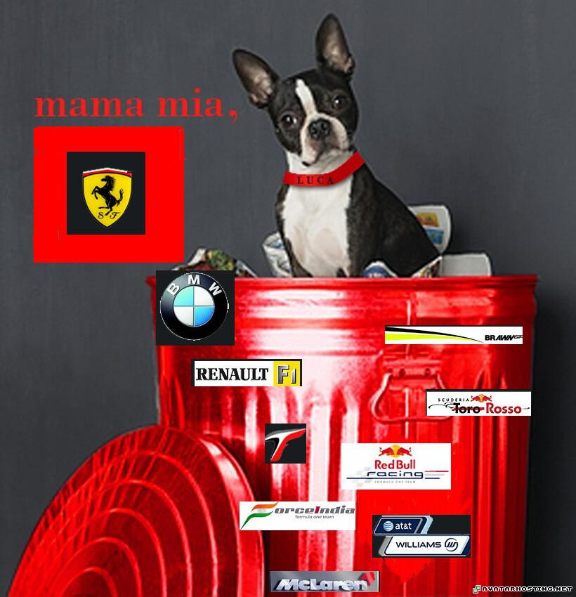 Dog in Ferrari mammaferrari