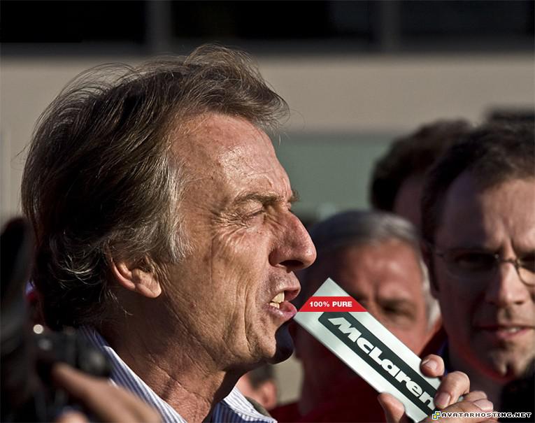 canvas animals beetles avatar 320 LucaBitesMcLaren