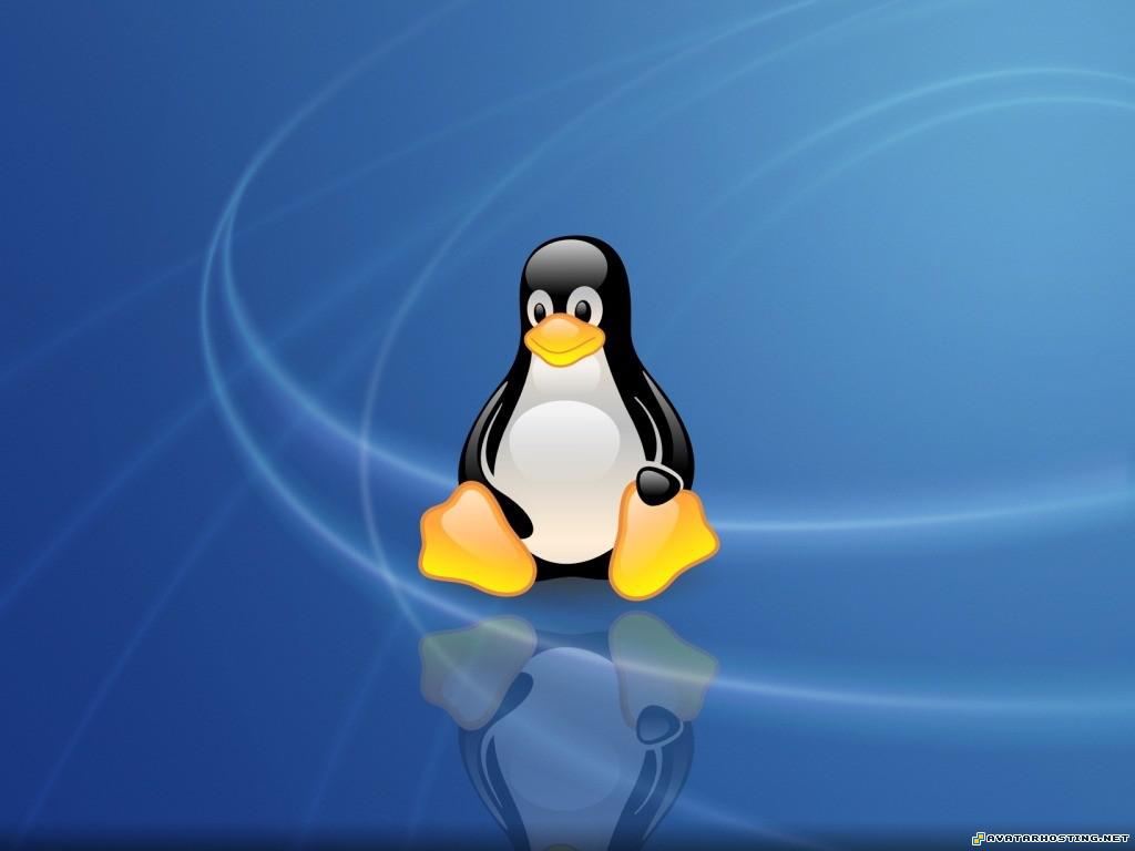 29 Linux Wallpapers LinuxWallpaper29