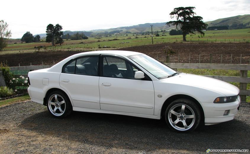 fine art paintings forums extinct insects IMG_0449