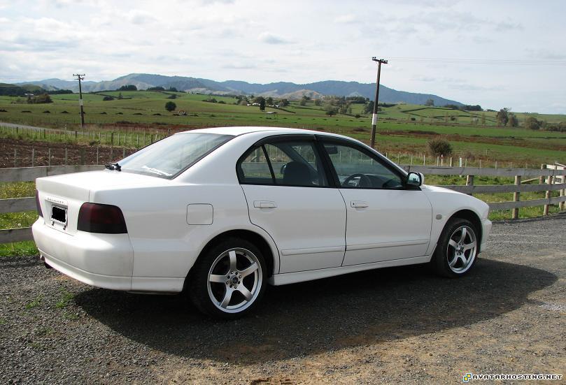 avatar icons mollusks species abstract IMG_0450