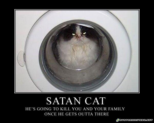 neopets avatar mollusks species landscape prints Satan_Cat