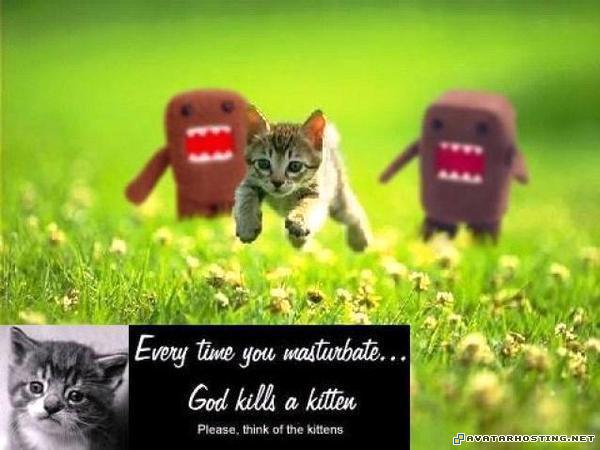 Run cat run godkills