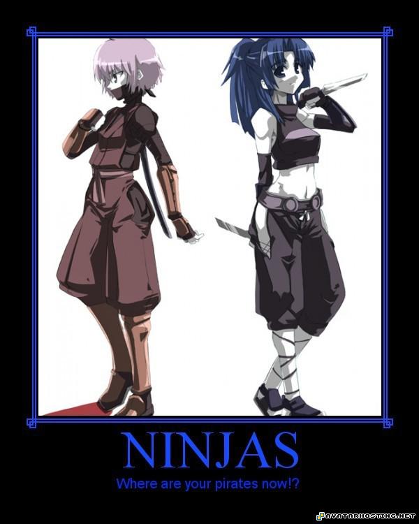 avatar chipper ladybugs habitats animals pests 2395b13c6db6b10a516739ac8cd6c4e91228844552_full