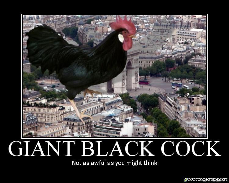 Giant black cock blackcockposter