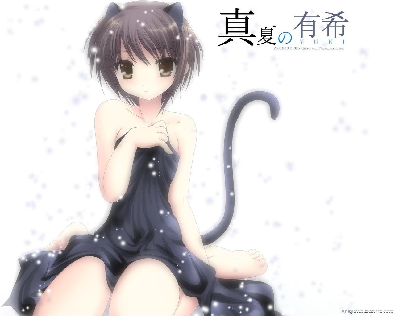 cat women suzumiyaharuhi_4_1280