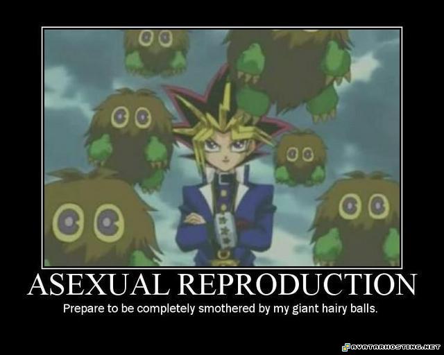 Asexual Reproduction 9e7d657e61d160_full