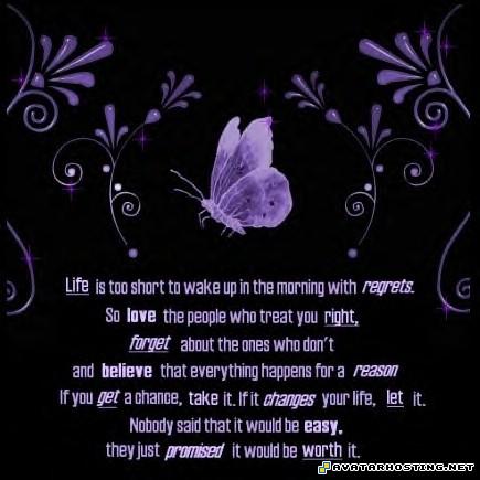 Purple butterfly poster purplebutterfly