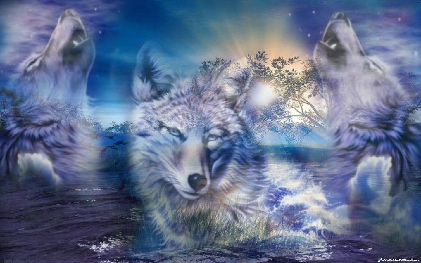 Wolves Wallpapers or picture 040 WolvesWallpapersorpicture_040