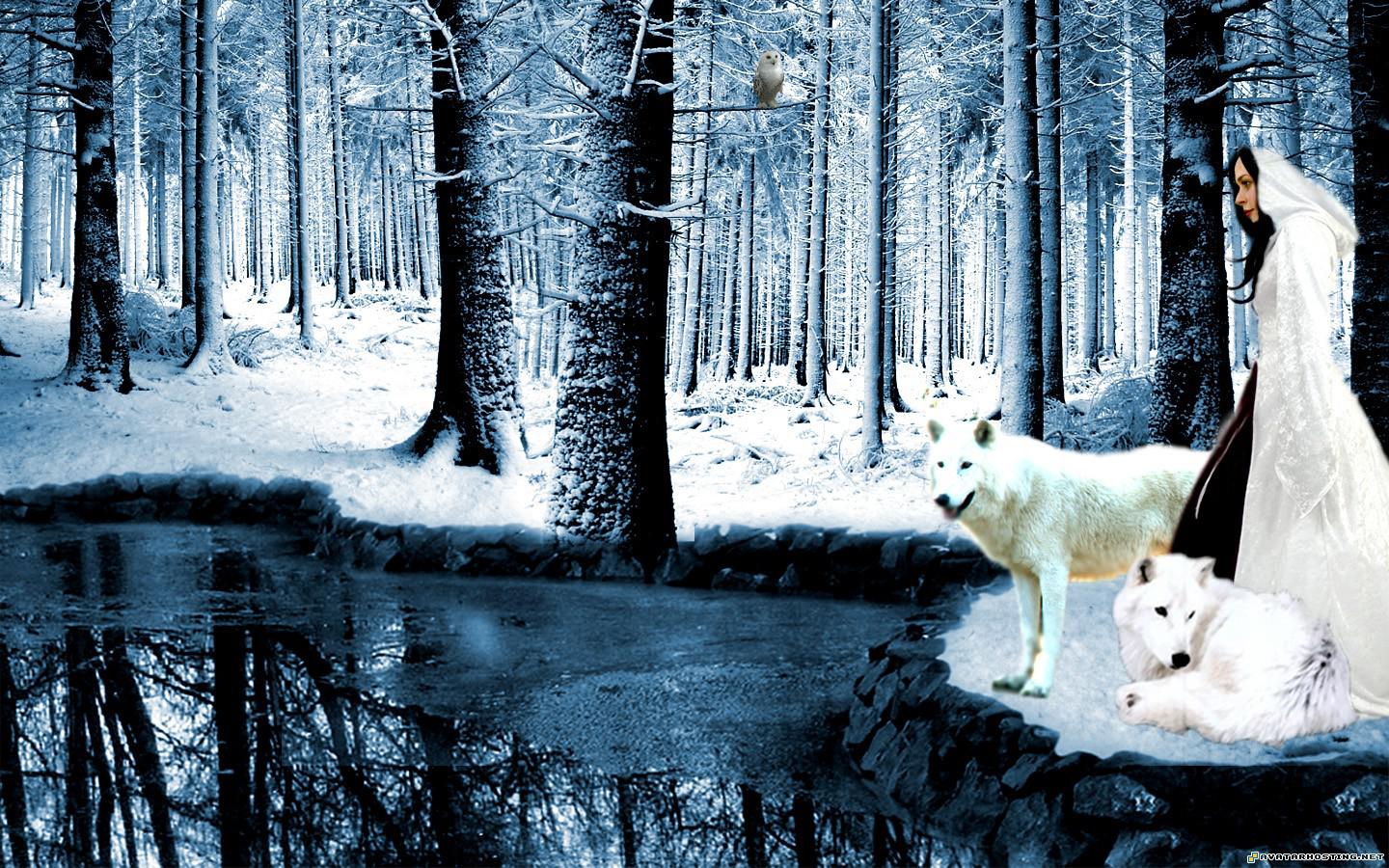 Wolves Wallpapers or picture 048 WolvesWallpapersorpicture_048