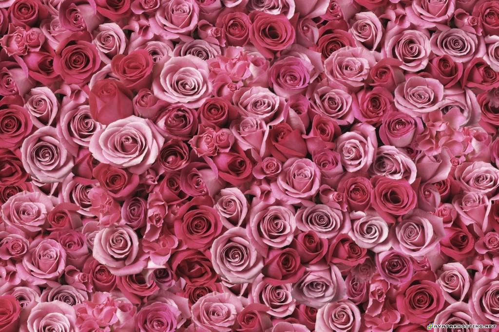 spirals of love spiralsoflove