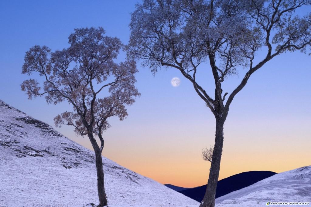 wintertime in glen loch united kingdom wintertimeinglenlochunitedkingdom