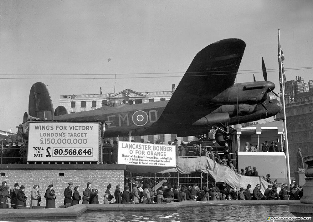 extinct bugs free image hosting no registration insect adaptations tranquil