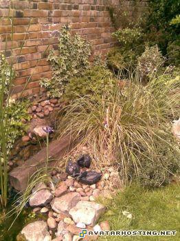 landscape painting contemporary artist icons phpfCX9qaAM1