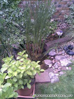 animalia insects avatar faces photo storage phpN1nU9XAM1