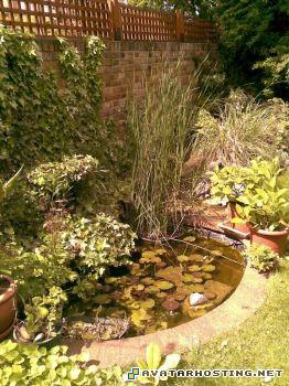 shoes avatar contemporary abstract art insect invertebrates phpUw4iSDAM1