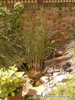 taylor prints illustrations free animated avatars php65kCoWAM1