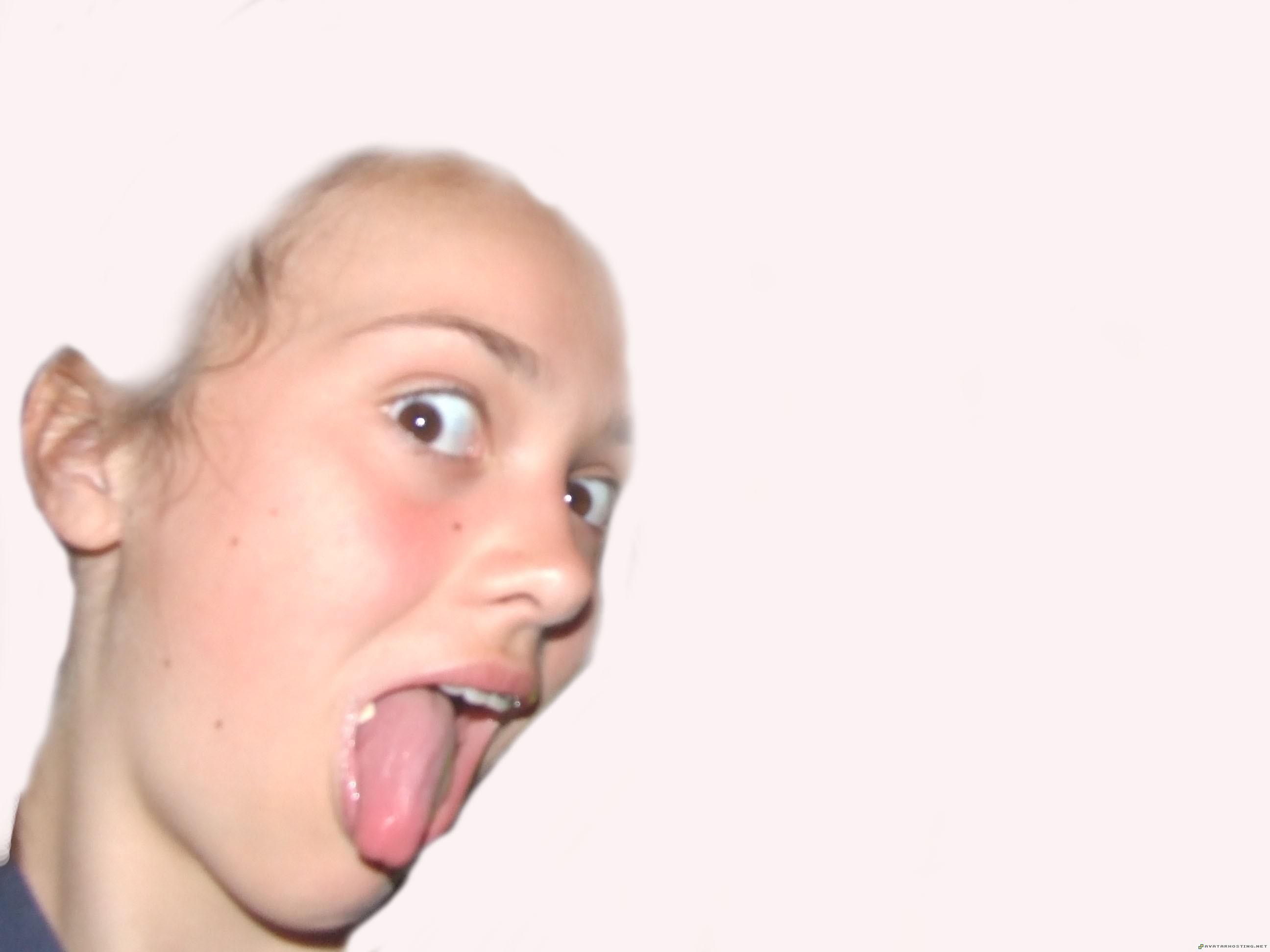 still life art cezanne print avatar book 3 2008_0601iceland20080130copy