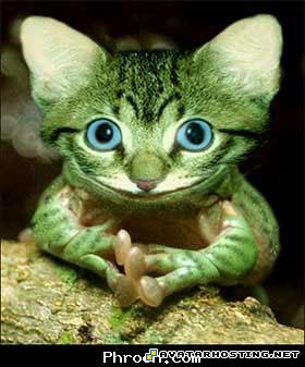 avatar maker 100 x 100 naruto avatar MySofT