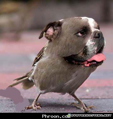 acrylic paintings avtars jsp hosting MySofT5