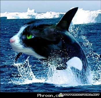 franklin prints avatar upload pictures MySofT6