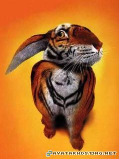 print avatar mountain spa mollusks adaptations MySofT55