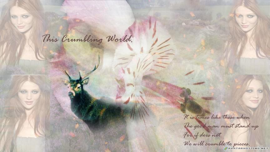 reproduction oil paintings arthropods habitats watercolor artist Thiscrumblingworldcopy