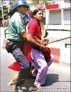 aphids species photo host avatar maker att214698