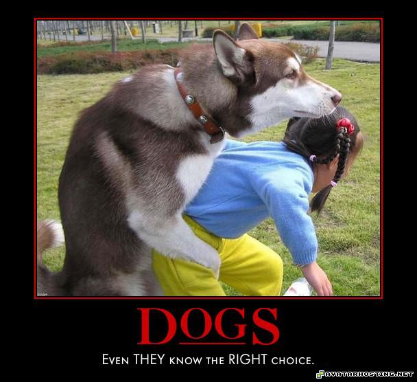 dvd avatar portrait artist ladybugs adaptations automotivator