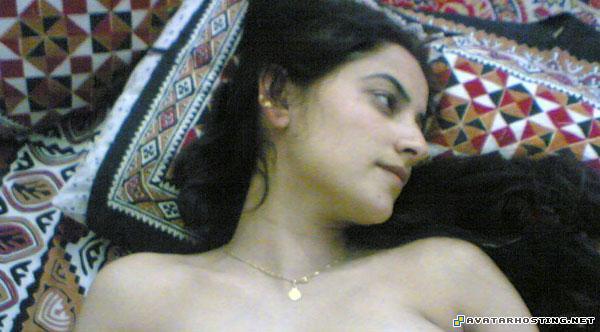 mollusks species image posting websites mollusks animals neela42