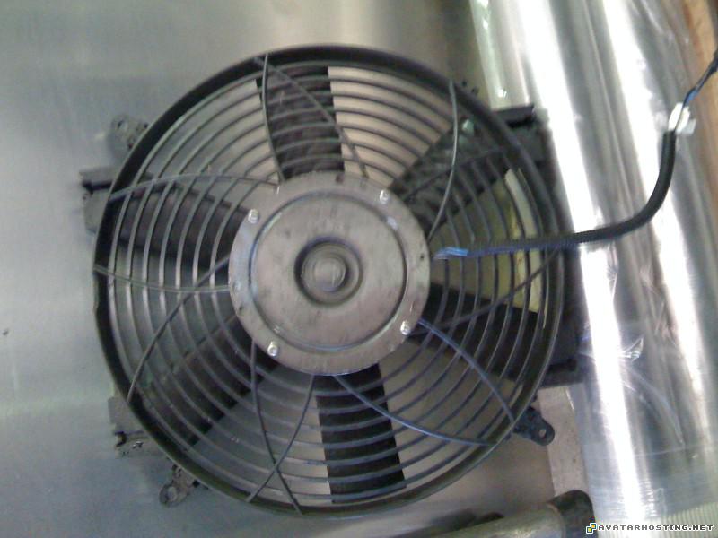 arthropods habitats easy image storage photo storage IMG_0780