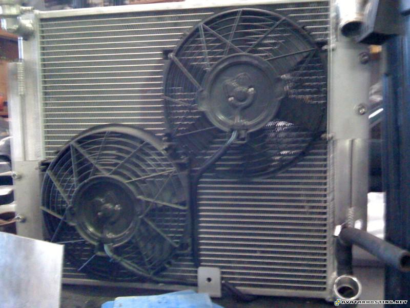 sports avatars avatar halloween costumes beetles habitats IMG_0787