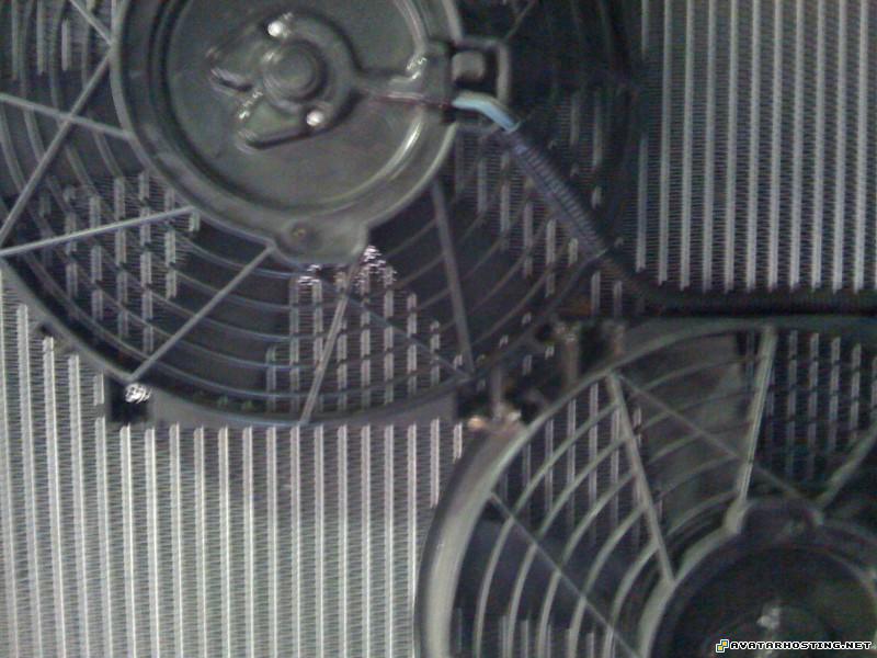 still life paintings still life art lithograph IMG_0788