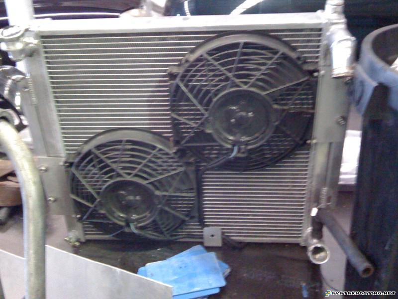 photo avatar map endangered dragonflies IMG_0785